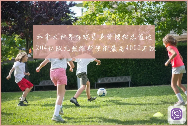 加拿大世界杯球员身价揭秘总值达204亿欧元戴维斯领衔最高4000万欧