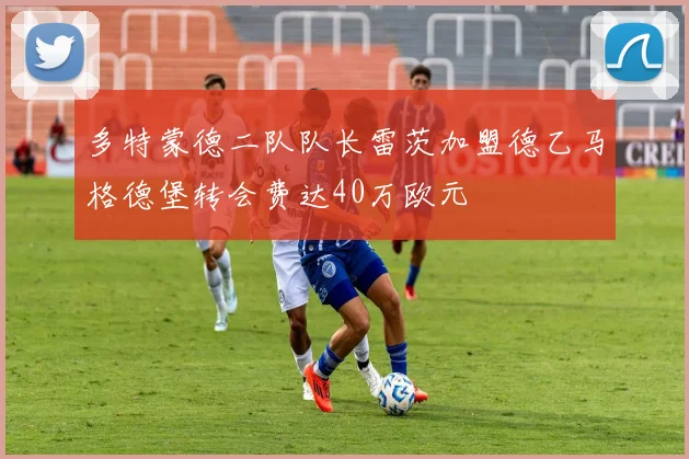 多特蒙德二队队长雷茨加盟德乙马格德堡转会费达40万欧元